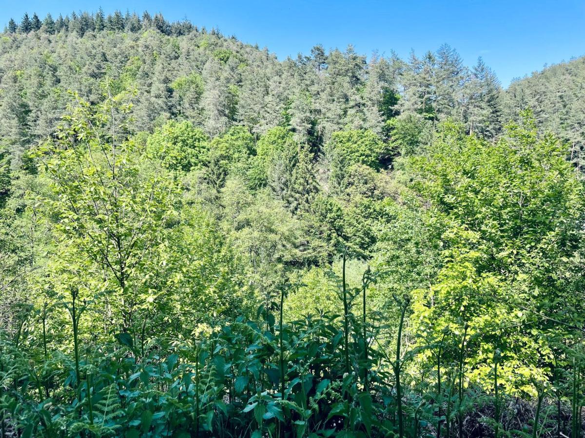 Ferienwohnung Berg&Tal - Naturnah Trier Exteriör bild